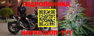 мдпв Краснознаменск