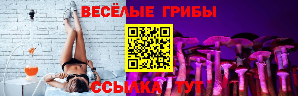 Каменск-Уральский  Псилоцибиновые грибы ЛСД  Вход с VPN 